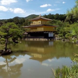 神社巡り✨