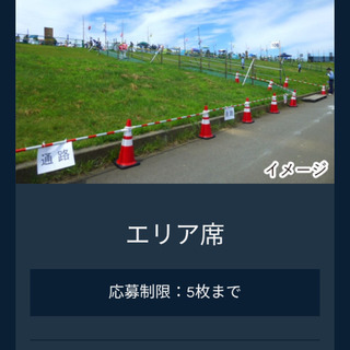 長岡 花火 エリア席4枚 2019年 8/2(金)