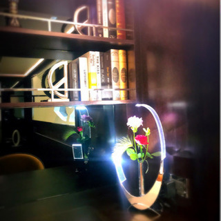 LED  FLOWER VASE