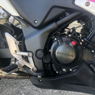 写真追加！ 絶好調 mc41 CBR250R 希少カラー 【公式通販】
