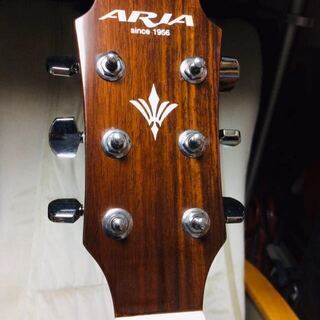 さらに値下げ　ＡＲＩＡ アリア アコースティックギター ADW-...