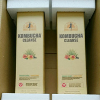 kombucha 