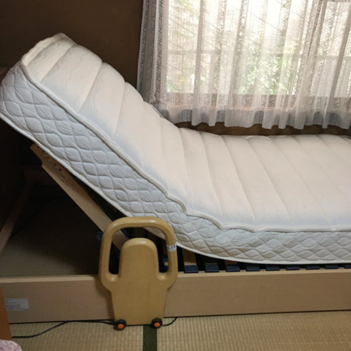 France Bed フランスベッド RECLINIG BED 電動リクライニングベッド NJ-RX