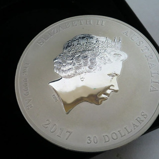 2017 オーストラリア 干支 鳥銀貨 1キロ プルーフ クリアケース＆箱付き THE PARTH MINT 2017 オーストラリア 干支 鳥銀貨 1キロ プルーフ クリアケース＆箱