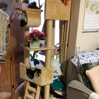 猫用ペットタワー