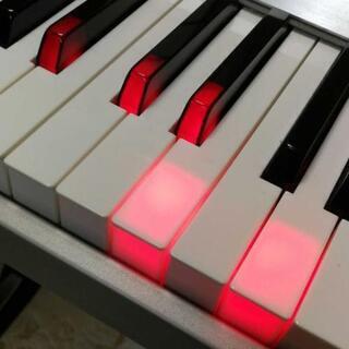 デジタルピアノ カシオ CASIO PL-40R 愛知県まで引取限定！！