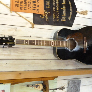 Mavis MW-500 アコースティックギター美品鏡面ブラック