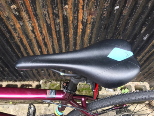 FELT シクロクロスバイク F85X スノーズベリー Bikes