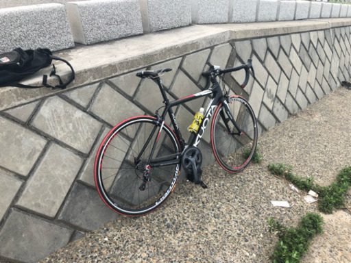 KUOTA コルサ カーボン アルテグラ11速 KUOTA KORSA クオータ コルサ