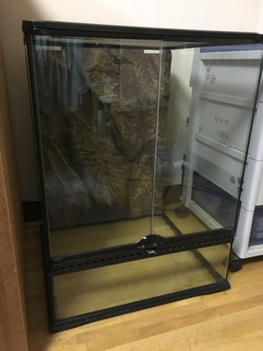 GEX エキゾ テラ グラステラリウム 爬虫類・両生類 飼育ケージ