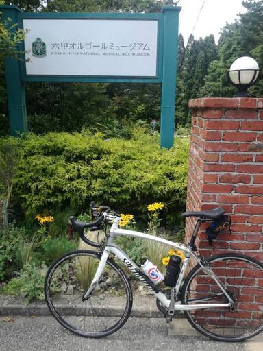 その他 SPECIALIZED secteur comp