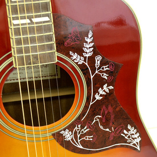 SepiaCrue アコースティックギター H-220 ハミングバードタイプ