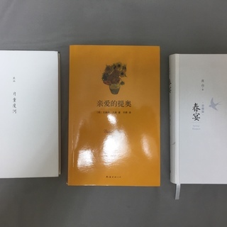中国語の小説三冊