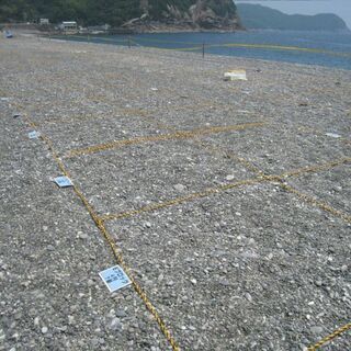 熊野大花火大会 2019 8月17日(土) 有料浜席 １マス席