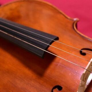 チェロ/EASTMAN(イーストマン)再値下げ13万に値下げしました