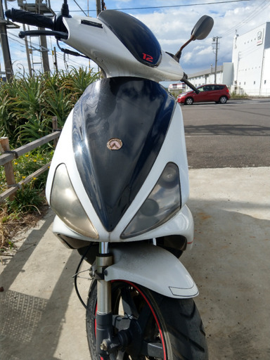 直筆サイン入り写真 ラジャ・ナインゴラン ASローマ/フレーム別/SA鑑定済