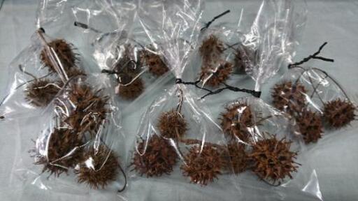 フウの実 アクアリウム アクアテラリウム 水槽 熱帯魚 水草 レイアウト インテリア シュリンプ ザリガニ 花材 ジモティーアクア 宮之阪のその他の中古あげます 譲ります ジモティーで不用品の処分