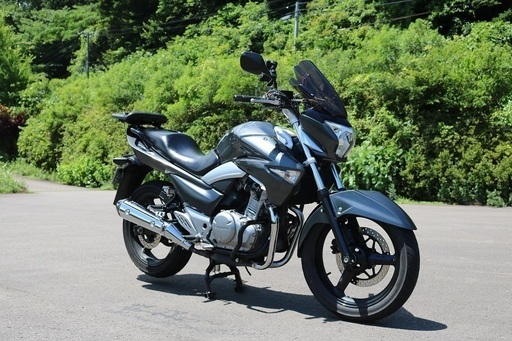 Suzuki Gsr250 新品大容量サイドバッグ付き 野良猫 黒川のスズキの中古あげます 譲ります ジモティーで不用品の処分
