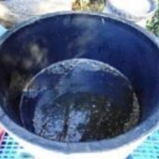 お話中 FRP水槽