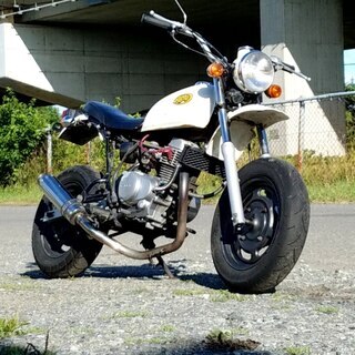 発送可★ホンダ APE50 エイプ ボアアップ80cc オイルクーラー 始動動画有★交換下取り上取り可札幌 発送可☆ホンダ APE50 エイプ ボアアップ80cc オイルクーラー 始動動画