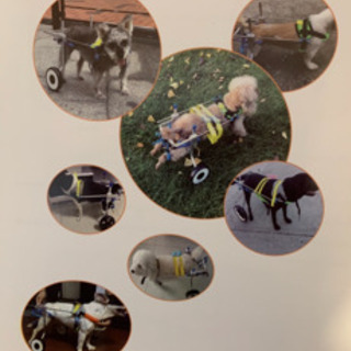 新品！！☆わんちゃんの補助輪☆