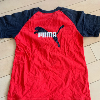 150cm  PUMA tシャツ 