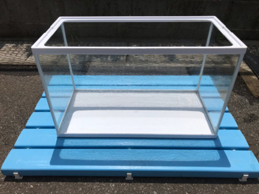 使用期間短め 60cm水槽 寸法(約)幅60×奥行30×高さ36cm