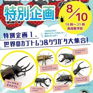 終了しました　長南町でジャンボ綿菓子出店　世界のカブトムシ＆クワ...