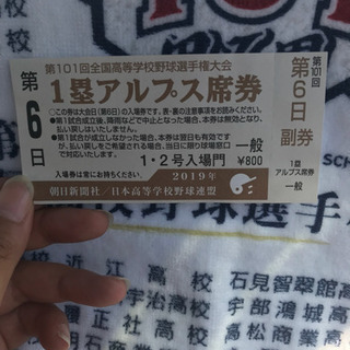 11日甲子園チケット