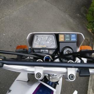 東京より セロー225 4JG5