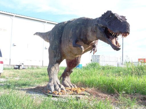 ☆値引き交渉可能です。ティラノサウルスの恐竜です。横約6ｍ高さ2ｍ以上です。お店のオブジェにしてください。！