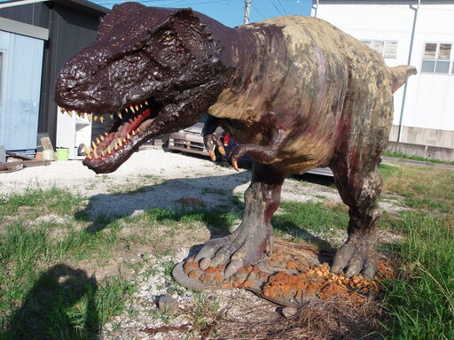 ☆値引き交渉可能です。ティラノサウルスの恐竜です。横約6ｍ高さ2ｍ以上です。お店のオブジェにしてください。！ ☆値引き交渉可能です。ティラノサウルスの恐竜です。横約6m高さ2m以上