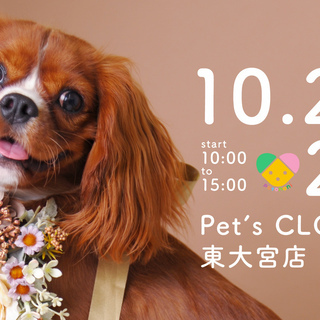 ジョイフル本田　Pet`s clover 東大宮店　10月26日...