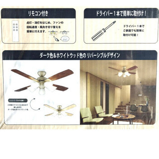 値下げ中 新品未使用 DAIKO シーリング ファン ライト CSF570 大光電機