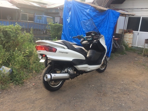 マジェスティ　美車？！ＳＧ０３Ｊ　スカブ？ビックスクーター　250cc マジェスティ 美車？！SG03J スカブ？ビックスクーター 250cc