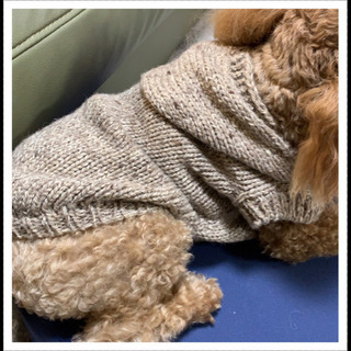 愛犬のための小型犬服 編み物教室紹介  ８／１７ - ものづくり
