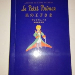 【再々値下】Le Petit Prince　星の王子さま