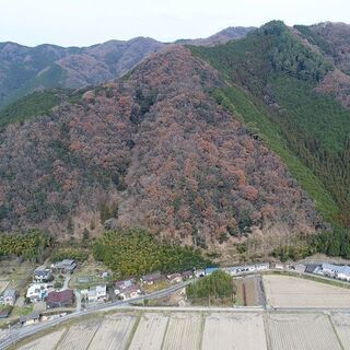 【成約済】山林物件012　兵庫県たつの市新宮町