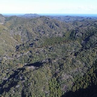 【成約済】山林物件013　和歌山県東牟婁郡古座川町