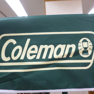 Coleman ガーデンスウィング 170-5754 二人用ブランコ 室内でのみ使用品！コールマン ☆ PayPay(ペイペイ)決済可能 ☆ 札幌市 清田区 平岡
