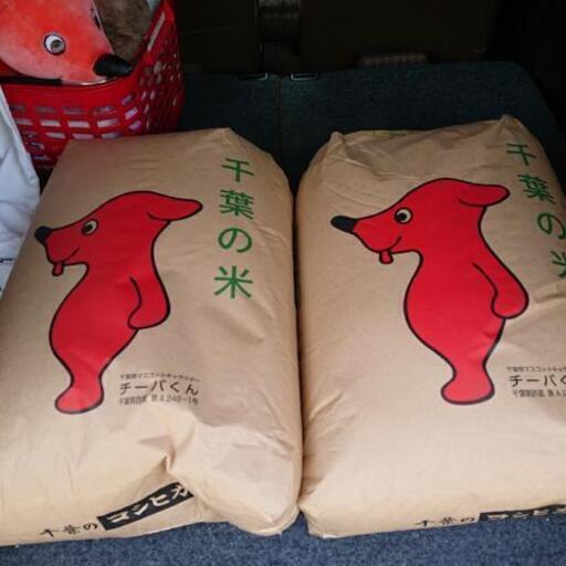 コシヒカリ５年度産玄米
