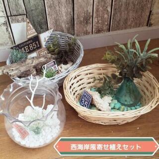 造花寄せ植えセット～