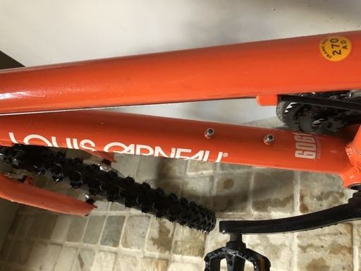 ルイガノ J22 オレンジ キッズ 自転車 22インチ