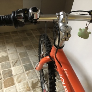 LOUIS GARNEAU ルイガノ キッズ マウンテンバイク J22 オレンジ
