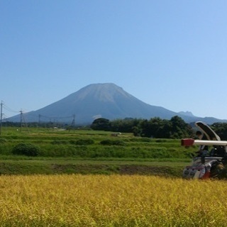 【急募】１ヶ月の短期  稲刈り作業の補助 