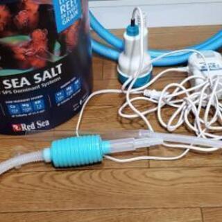 アクアリウム 海水魚 水槽 オールセット