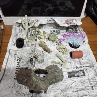 アクアリウム 海水魚 水槽 オールセット