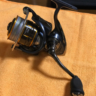 ダイワリール 極上品
