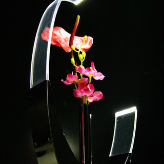 LED  FLOWER VASE