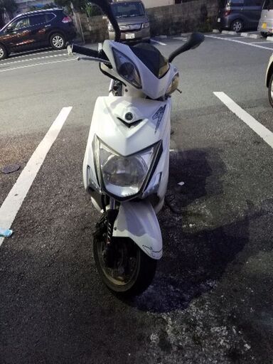 シグナスX　三型　白